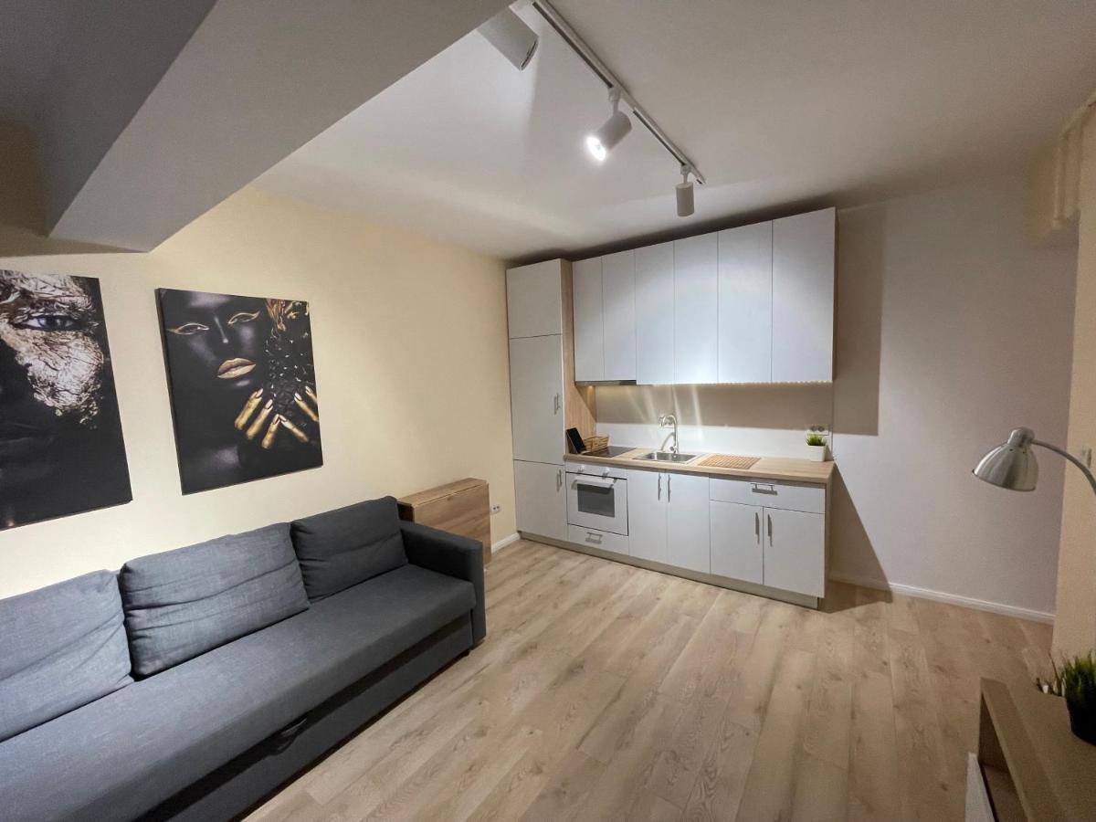 Riverside Luxury Apartment Near President Palace Βουκουρέστι Εξωτερικό φωτογραφία